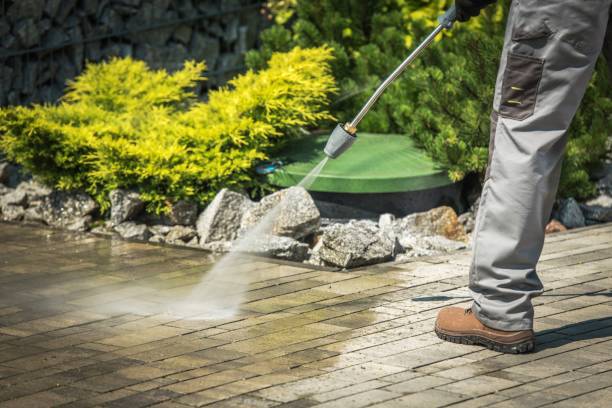 Best Animal Enclosure Cleaning  in Harlingen, TX