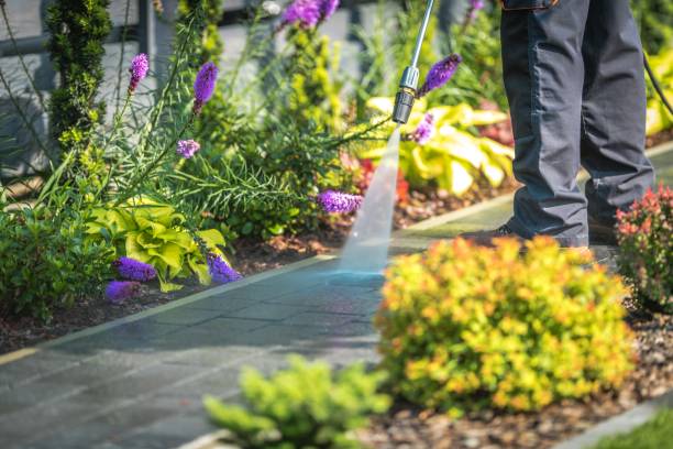 Best Dumpster Area Cleaning  in Harlingen, TX